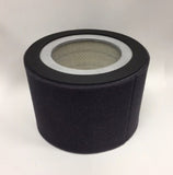Thermal Solutions: 81156012 Air Filter, EV-2000/2000S
